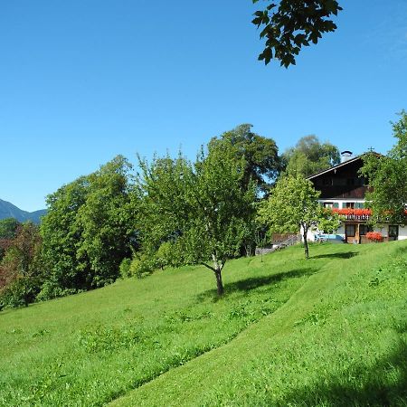 Berghuetterl - Ferienhaus Ingerlhof تيغرنسي المظهر الخارجي الصورة